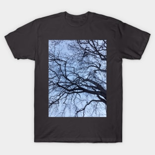 The Tree Sky Photography My T-Shirt